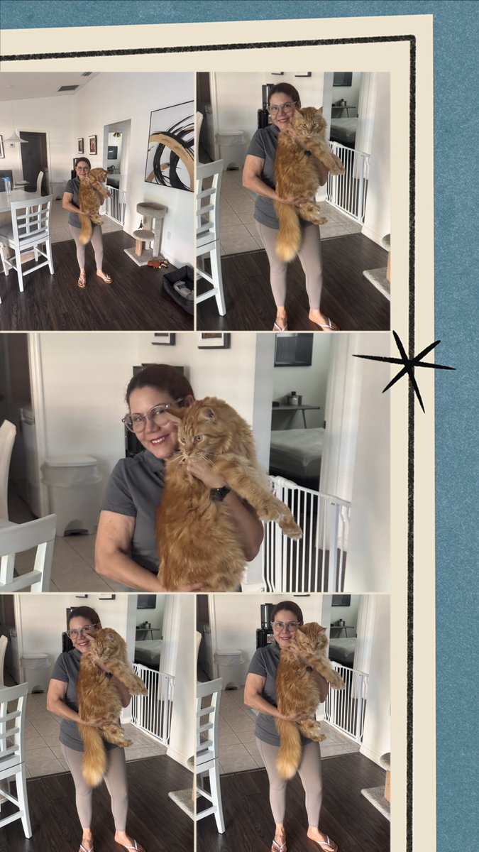 lachabela70's tweet photo. Cool 😎 cat 🐈 lady 😍😹 https://t.co/9ox0GpgmV9