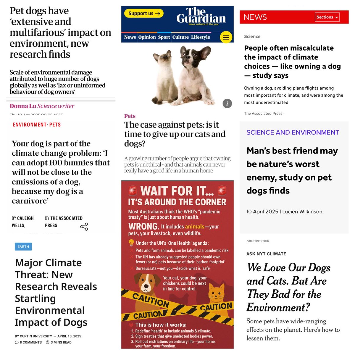 Lozzy B 🇦🇺𝕏 tweet media