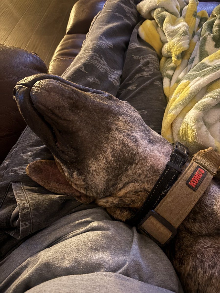 Welll the owner has been located :( they are otw to pick him up