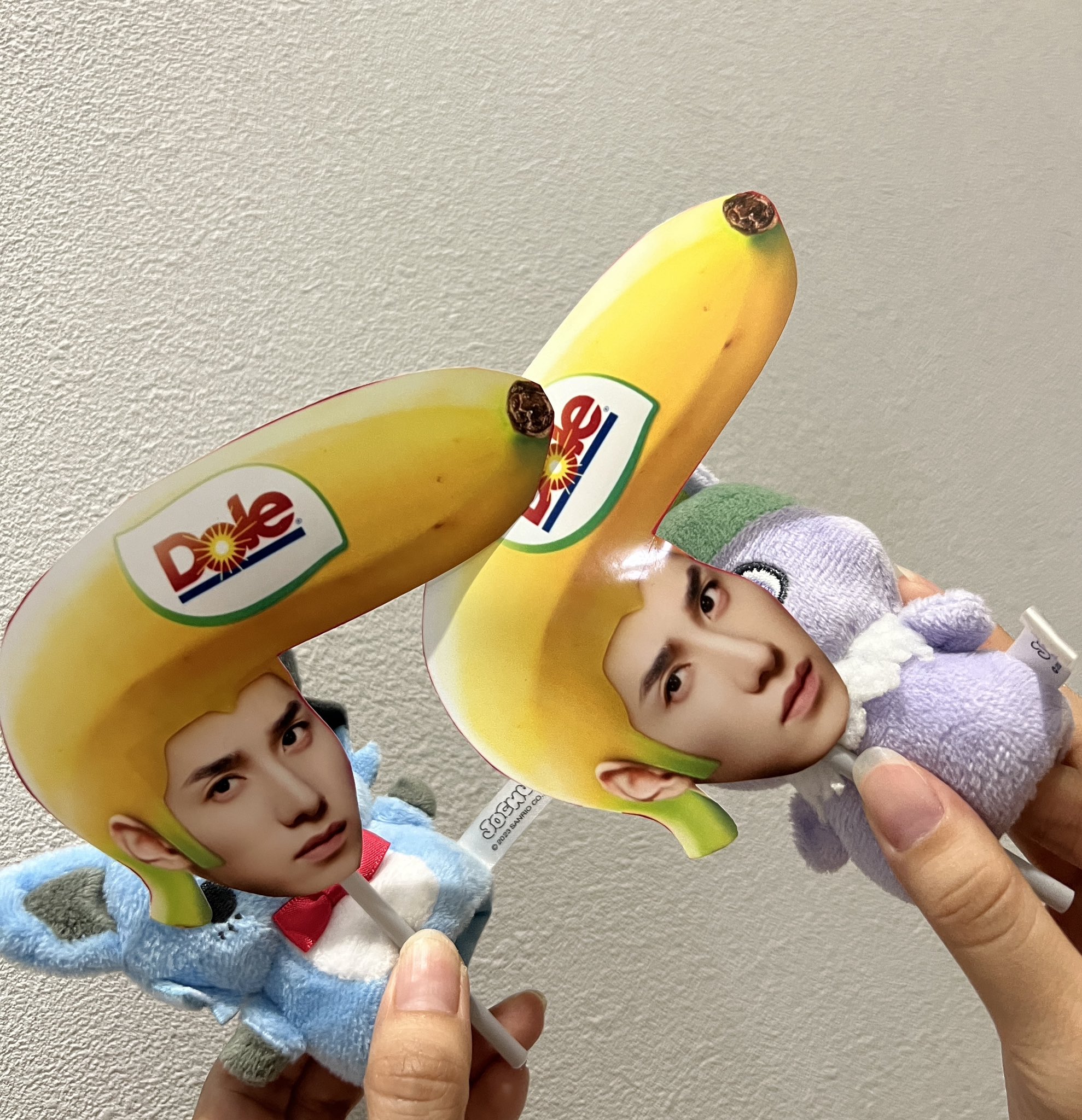 jochum マイクン フルーツ 更新】ジェオチャム フルーツデザインシリーズ｜サンリオ