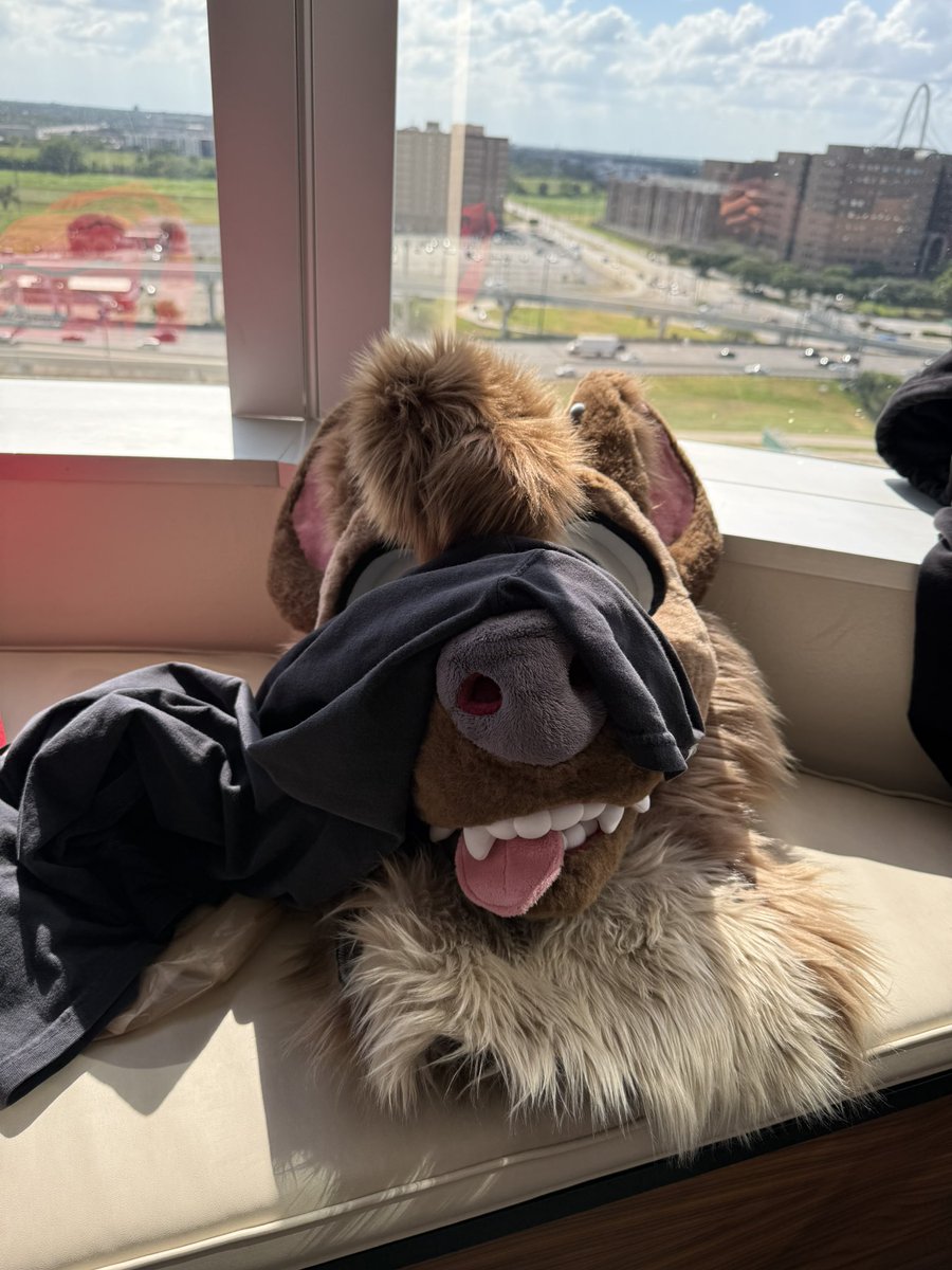 seesyl (@seesyl_) on Twitter photo 