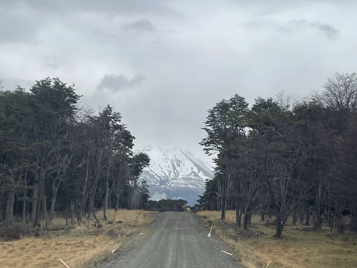 ernestsepulveda's tweet photo. Una maravilla natural es la que abre la ruta Río Hollemberg-Río Pérez, senda de penetración en medio de ríos, cordilleras, bosques milenarios. Otro proyecto del Plan de desarrollo de zonas extremas. ⁦@gore_magallanes⁩ ⁦@JorgeFlies⁩ ⁦@MopMagallanes12⁩ #PDZE https://t.co/mc8pXkxySS