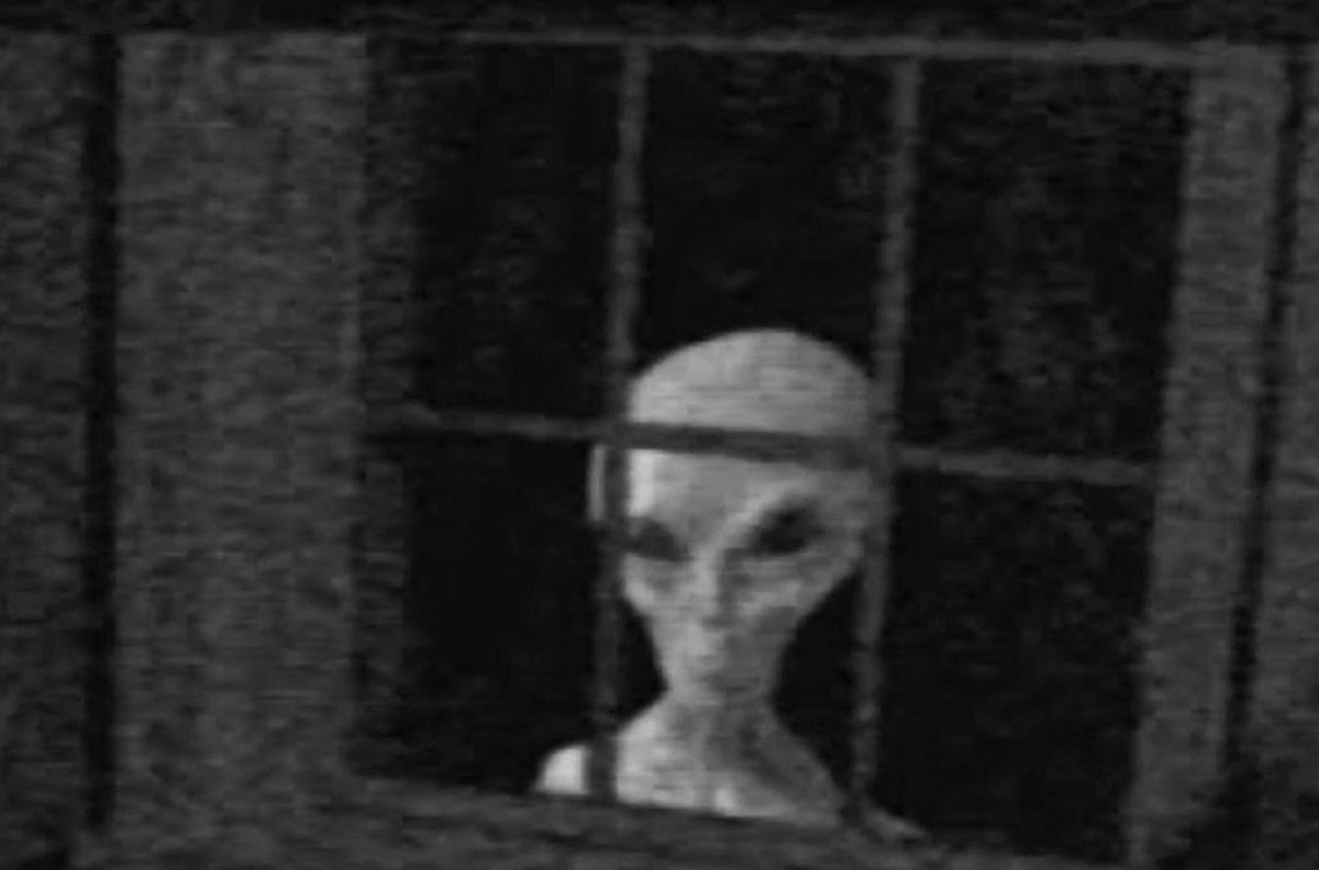 My alien waiting for me to stop scrolling on X and fall asleep so he can abduct me
