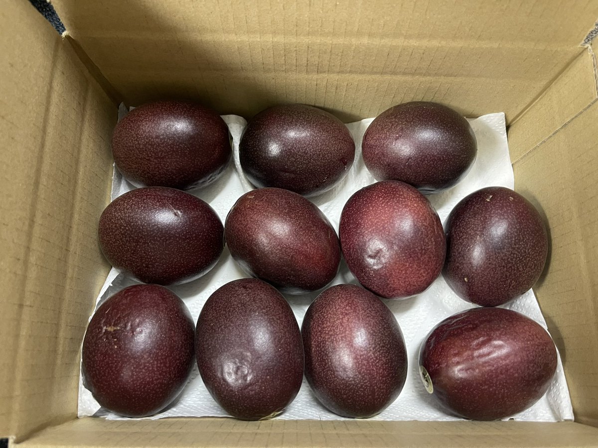 パッションフルーツが
届きました。
ありがとうございます😊