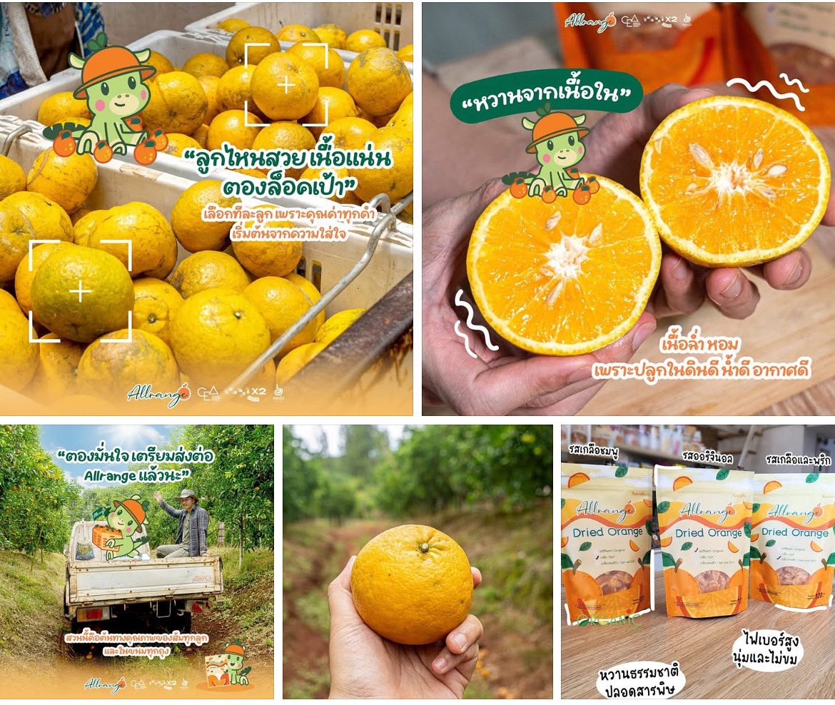 Ppremiummarket's tweet image. บ้านไร่ Allrange 🍊
จุดเริ่มต้นที่เต็มไปด้วยความรัก❤️
. 
🙏 เริ่มต้นวิสัยทัศน์ที่ใส่ใจตั้งแต่กระบวนการปลูก
🏭 ส่งตรงเข้าโรงงานที่มีกรรมวิธีการผลิตที่ได้มาตรฐาน
💕 ส่งต่อความอร่อยถึงมือคุณ

#Allrange #ส้มโอเชี่ยน #ส้มสายนํ้าผึ้ง