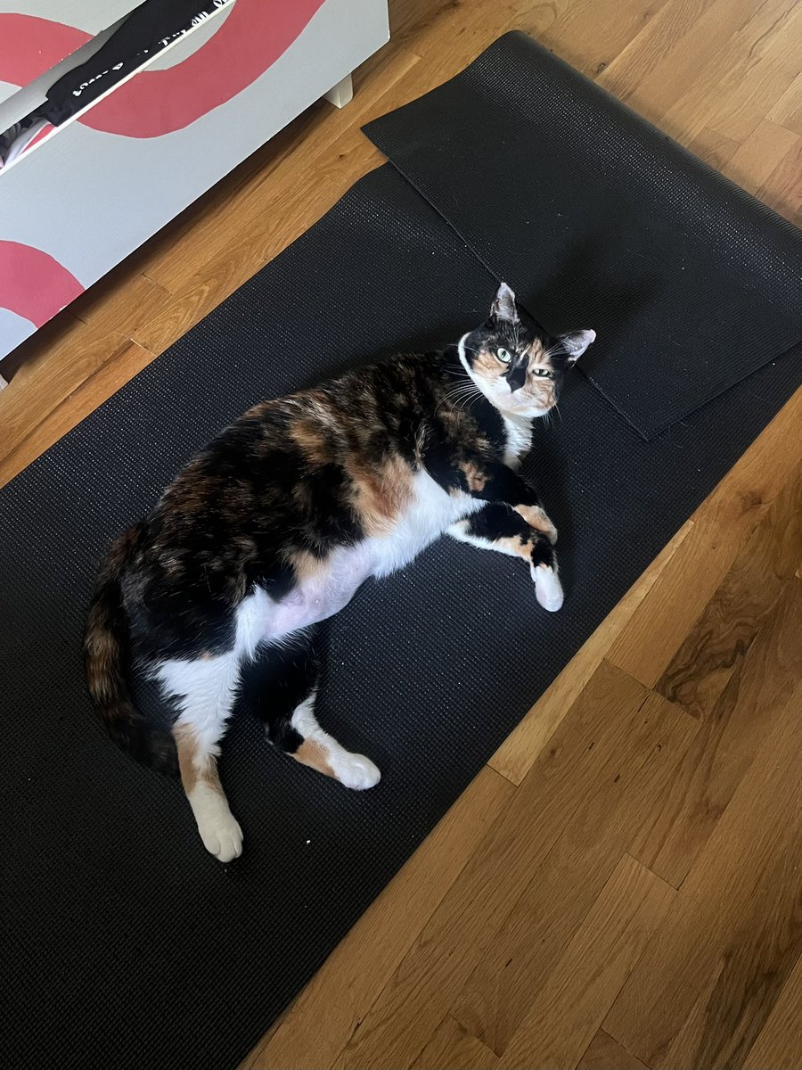 rrebekahh (@radrebekahh) on Twitter photo 