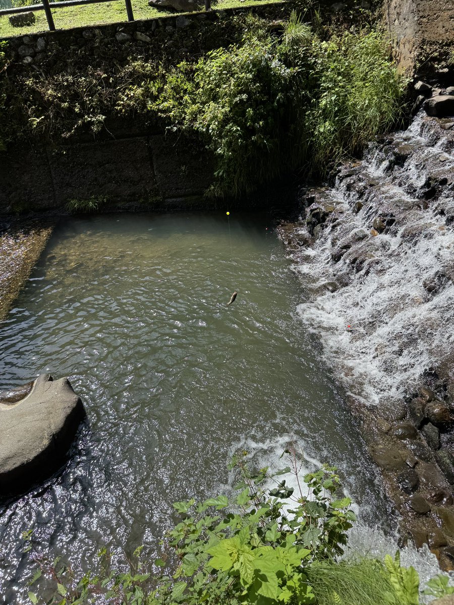 rhappy325's tweet image. 釣れた！！