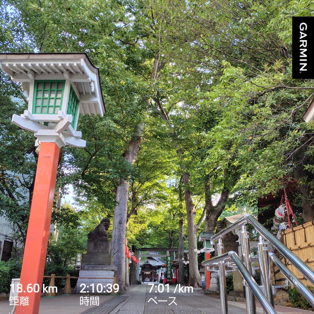 ２時間走に身体がなれるのはいつのことやら。
去年よりバテやすい気がするな〜。
でも早起きで走れて満足🏃🏃