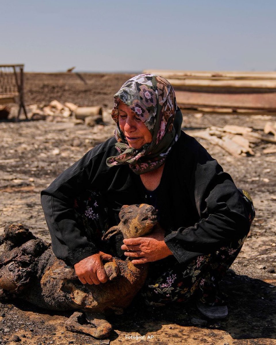 Çanakkale’de yürek burkan görüntü.