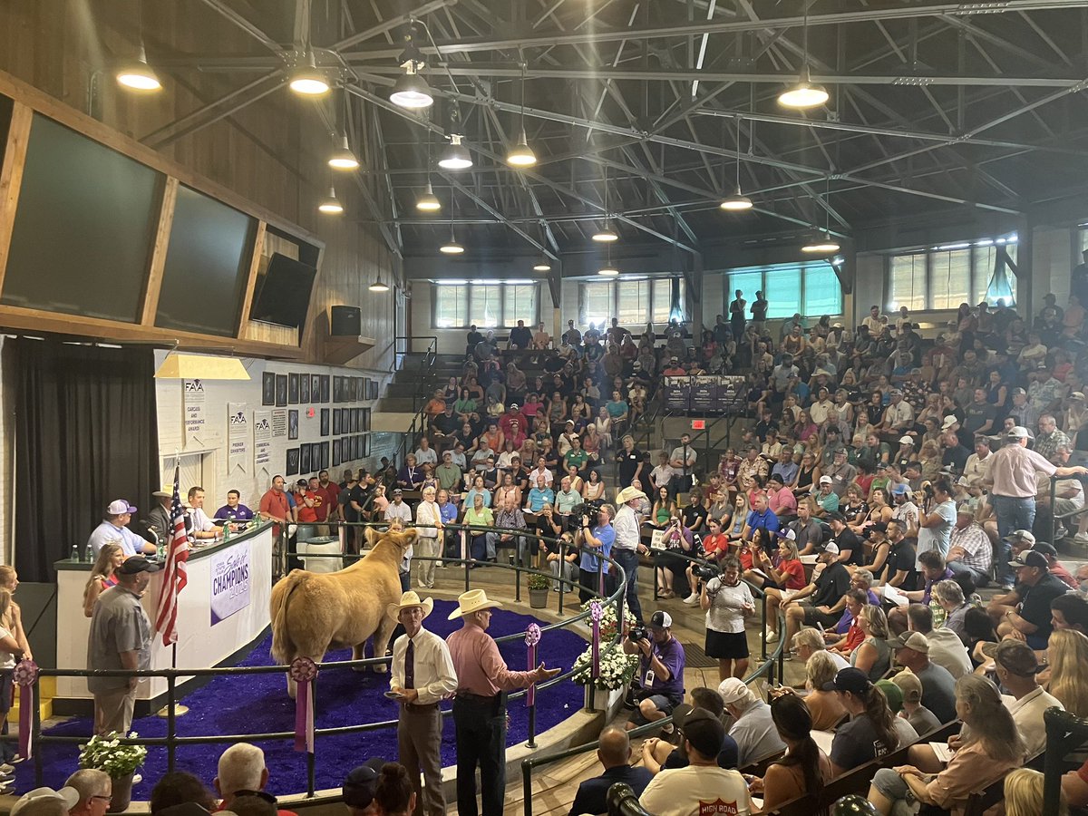 IADeptAg's tweet image. Congrats to all the students receiving scholarships at the Iowa Foundation for Agricultural Advancement ceremony &amp;amp; participating in the Sale of Champions today at the @IowaStateFair. Thanks to IFAA for its commitment to the future of Iowa youth &amp;amp; Iowa ag! #IowaStateFair