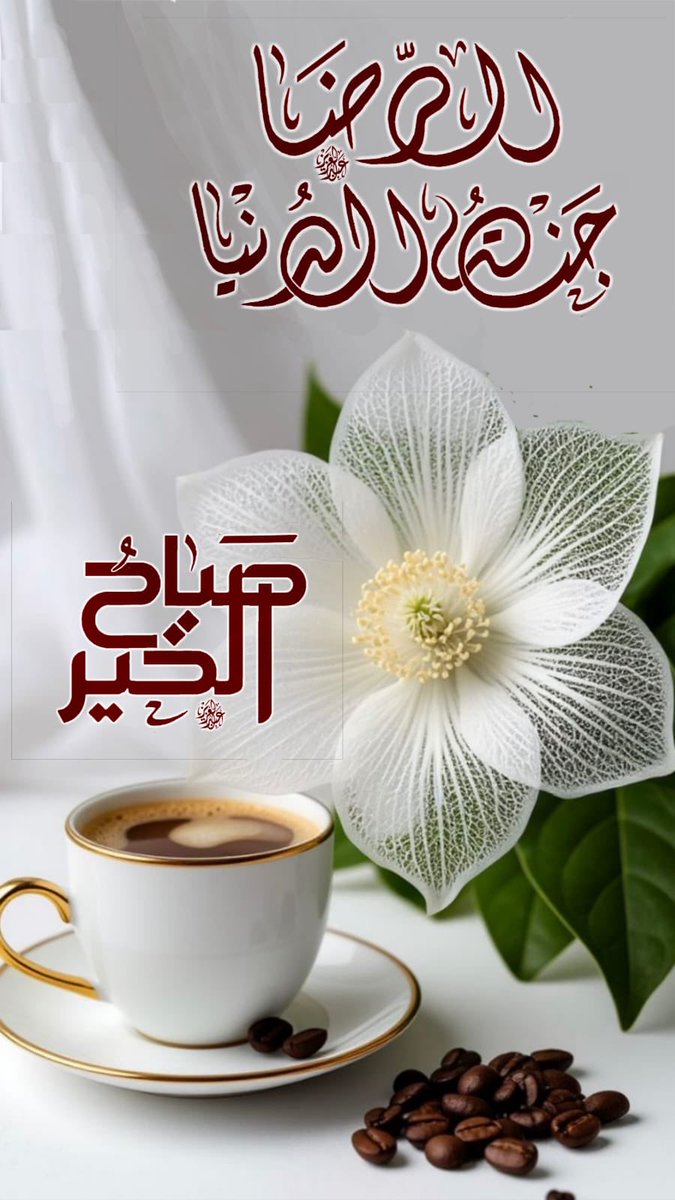 Al hamri🇸🇦 (@salhamri) on Twitter photo 