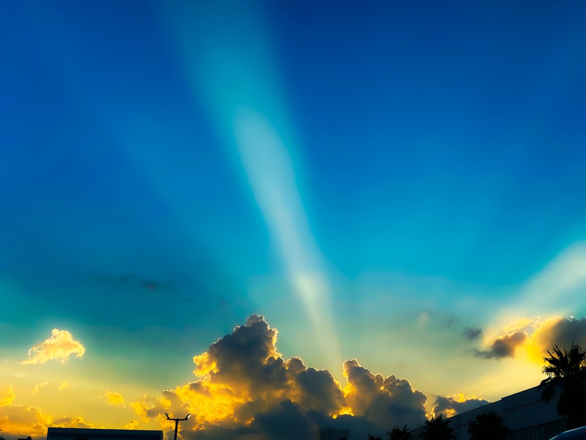 Various suns

not VRC #photography