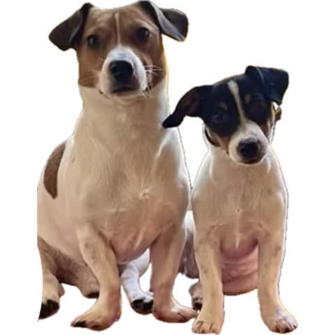 Kdog66 tweet media