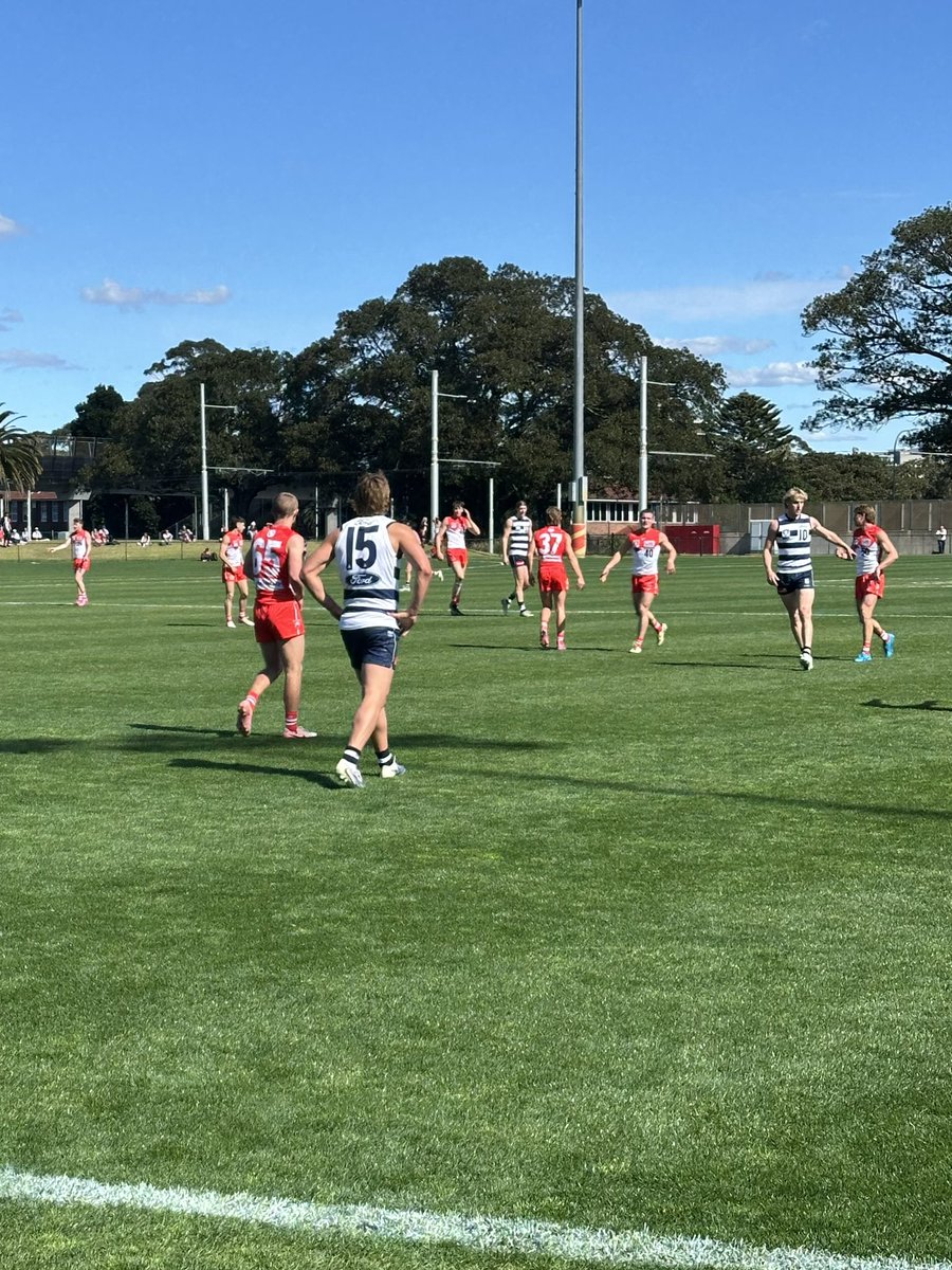 dodgyllama's tweet image. Blue skies at Tramway. I’m just as shocked as you are. @GeelongVFL #AFLSwansCats #SydneyWeather