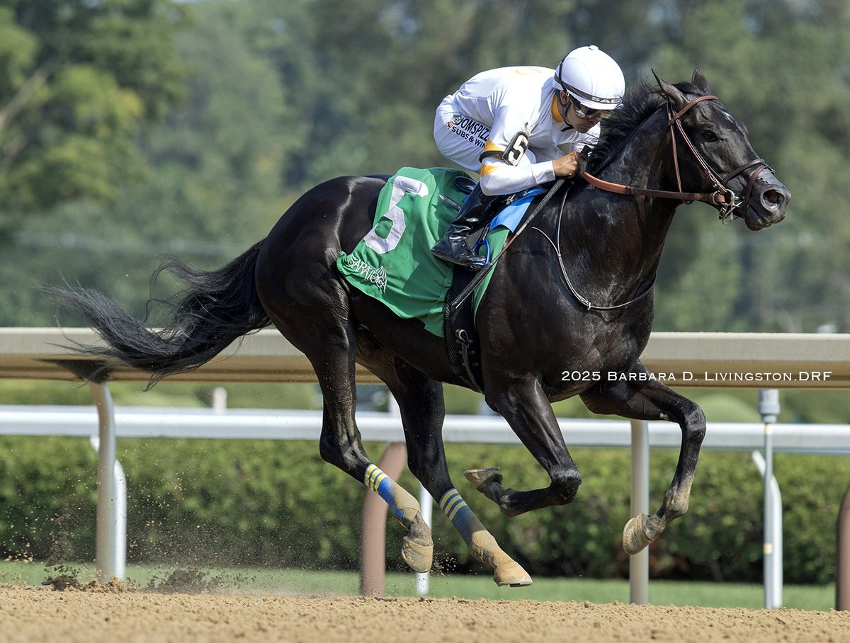DRFLivingston tweet picture