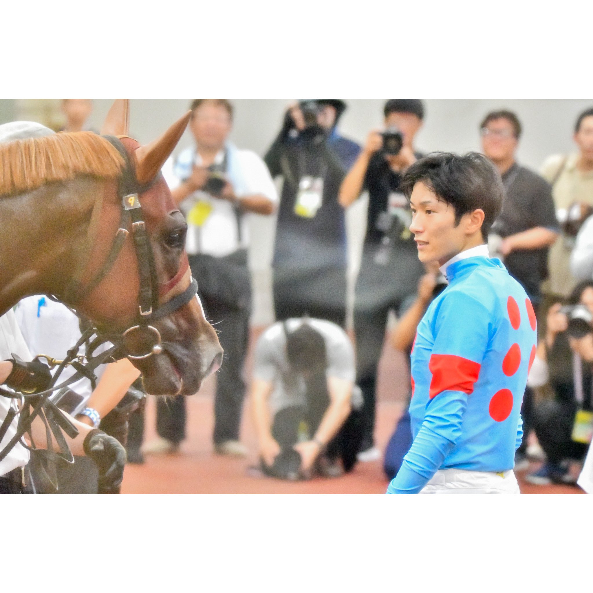 サウンドビバーチェ　実使用ゼッケン 　ターコイズS（G3）浜中俊騎乗 2025年最新】浜中俊の人気アイテム - メルカリ