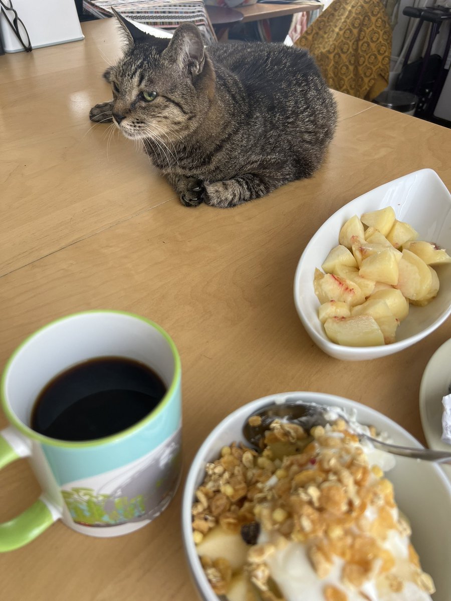 朝ごはんと猫(*´-`)

#どかへんよね　#ご飯時は一緒がええねん