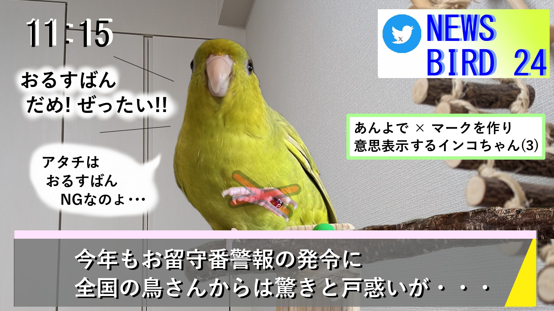 コザクラインコ　剥製 インコ - Search / X
