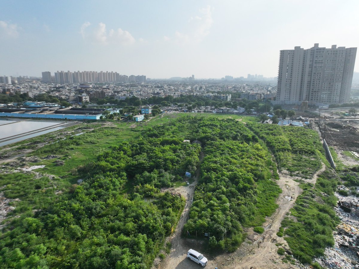 इंदिरापुरम अर्बन फारेस्ट , गाजियाबाद 

इस वर्ष देश के अलग अलग शहरों में 3 नए अर्बन फारेस्ट उगाने जा रहे हैं हम । 

#UrbanForest <a href="/AMRUTCityGzb/">Ghaziabad Nagar Nigam</a> <a href="/CMOfficeUP/">CM Office, GoUP</a> <a href="/moefcc/">MoEF&CC</a> <a href="/IASassociation/">IAS Association</a> <a href="/DCsofIndia/">District Collectors (IAS)</a>