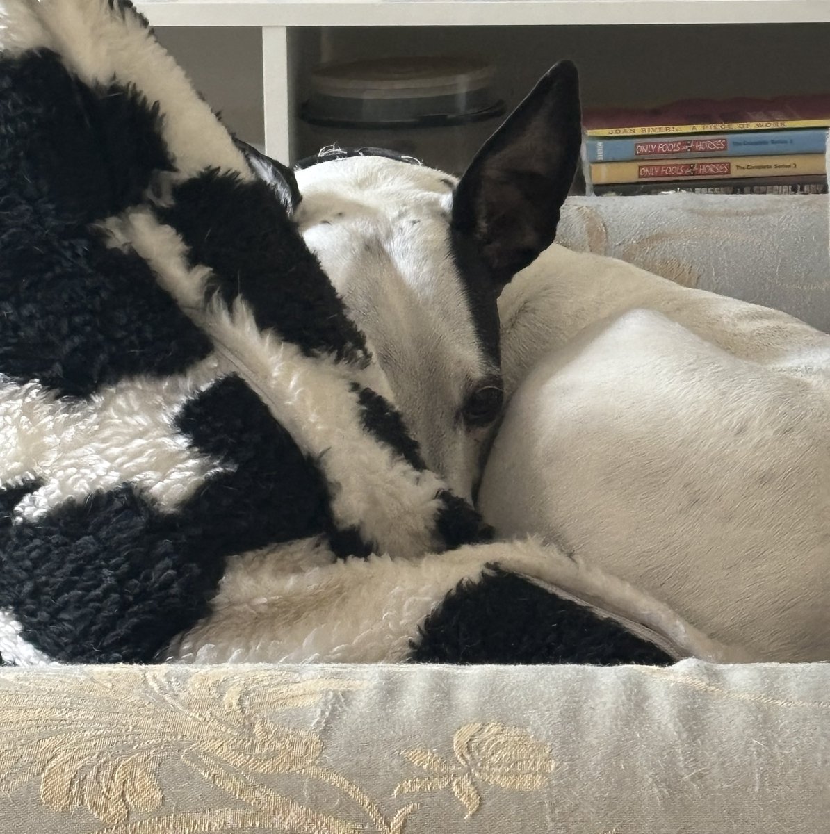 lifechangesyoupodcast tweet media