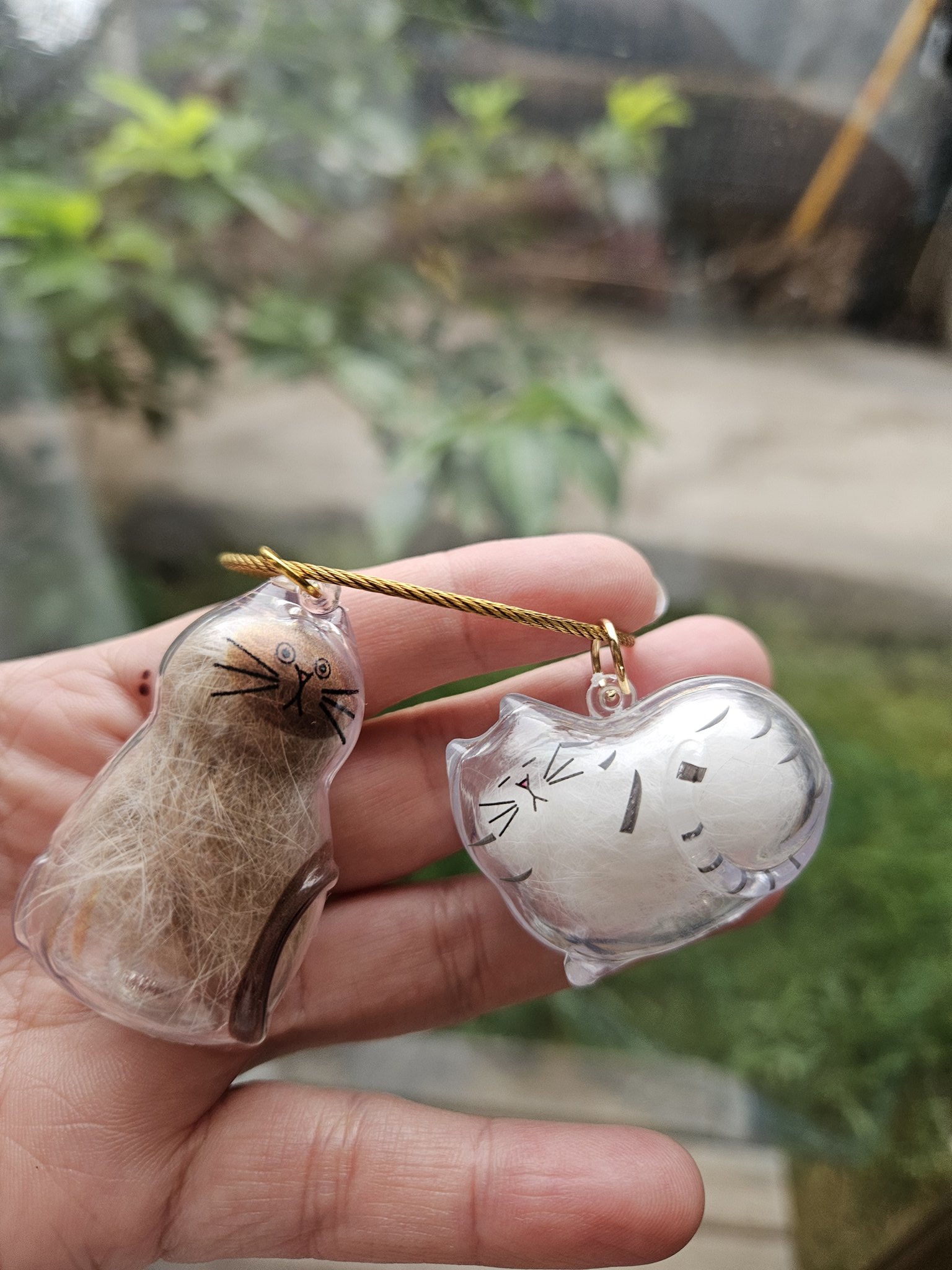 🐱猫空🐱 (@nekozora238) / X