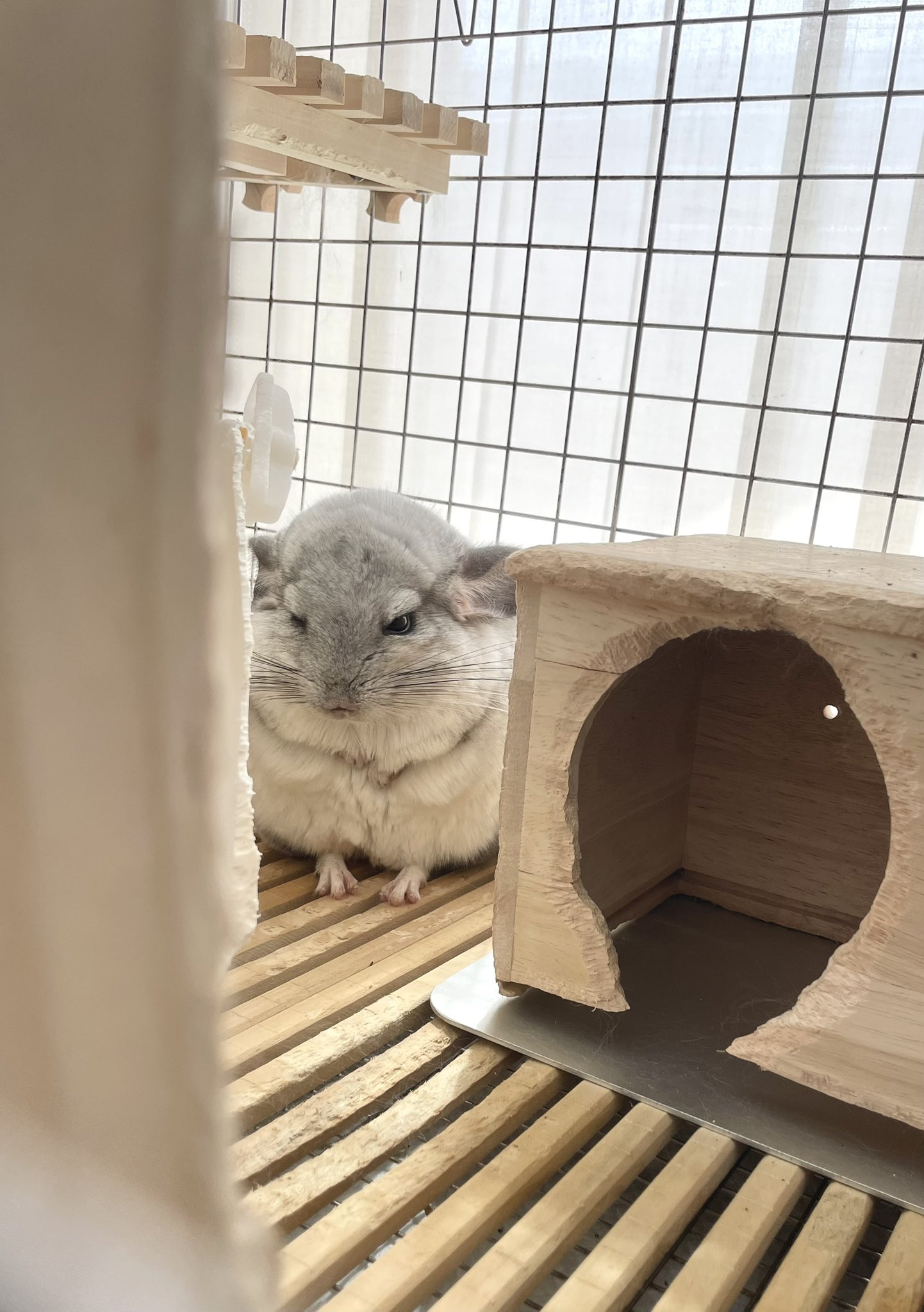 ❤️ みとのへや様❤️ 少し前に妹と撮ったんだ〰️🎶ᐡ ̳ᴗ ̫ ᴗ ̳ᐡ