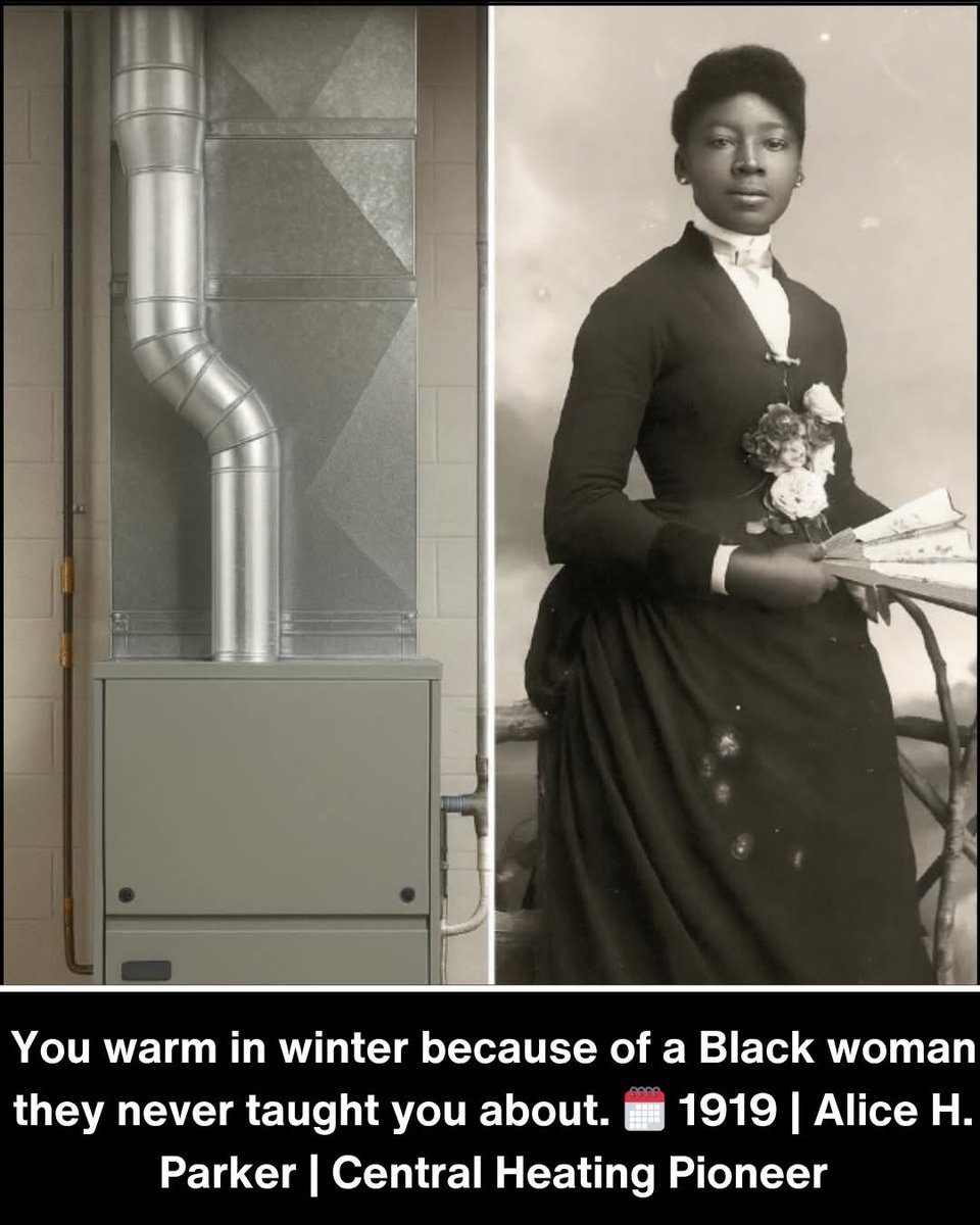 CLG98264897's tweet image. Black history 365; ♥️ 🖤 💚