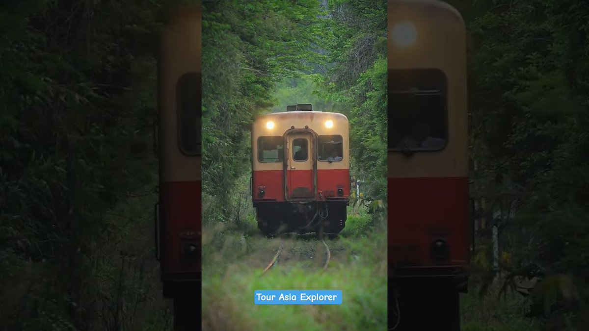 alojapan's tweet image. Kominato Railway is a ...
 
alojapan.com/1348044/komina…
 
#ChibaDestinations #ChibaTour #ChibaTravel #ChibaTrip #ChibaVacation #千葉