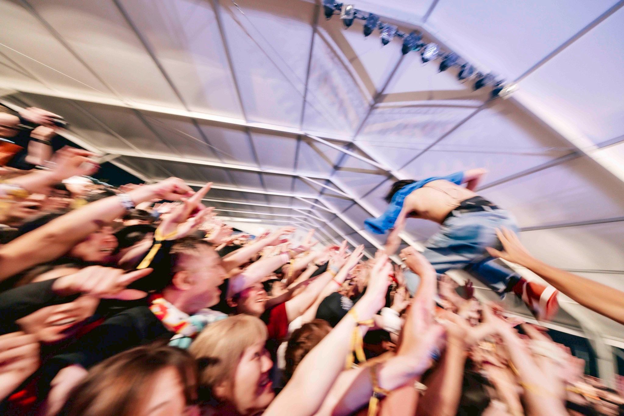 キュウソネコカミ🐁 on X: 