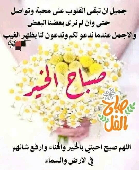 MAMDOUH (@rofeerofe) on Twitter photo 