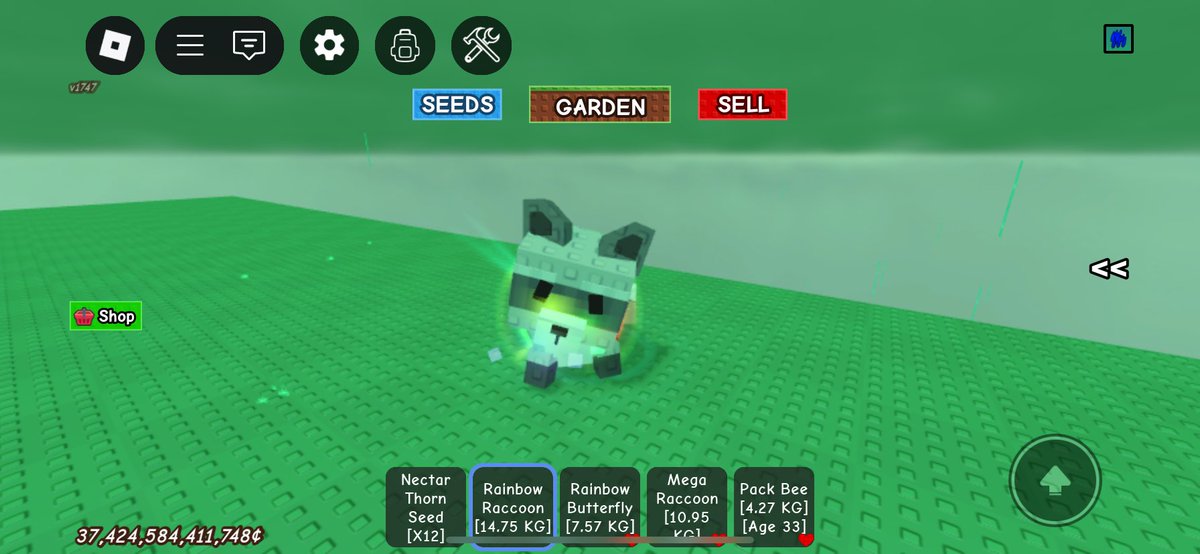 flemshut's tweet photo. WTS

Mega Raccoon 200k
Rainbow Raccoon 150k
Rainbow Butterfly (Base 2.19KG) 85k
Mega RB C Kitsune (DM) https://t.co/v1szB7RDLY