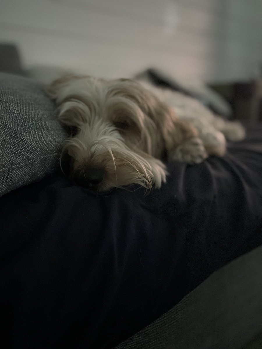 I had too much steak. Must sleep 💤