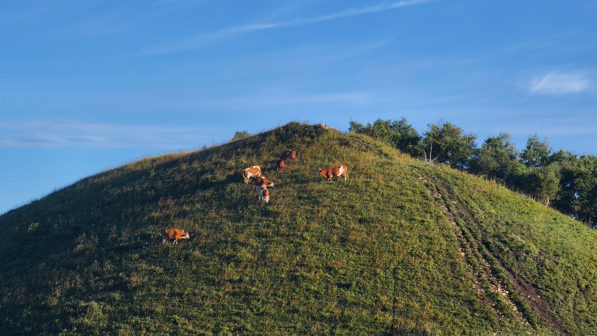 uling1994's tweet image. 不做爱的时候就去爬山