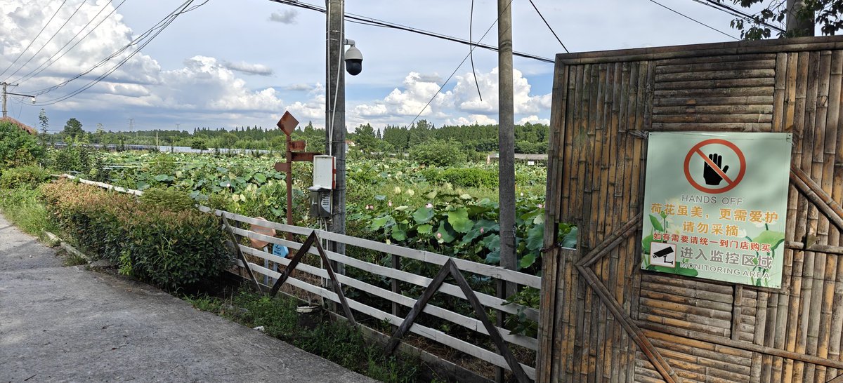 g20专供是好吃不少 能说我跟老习吃一种桃吗