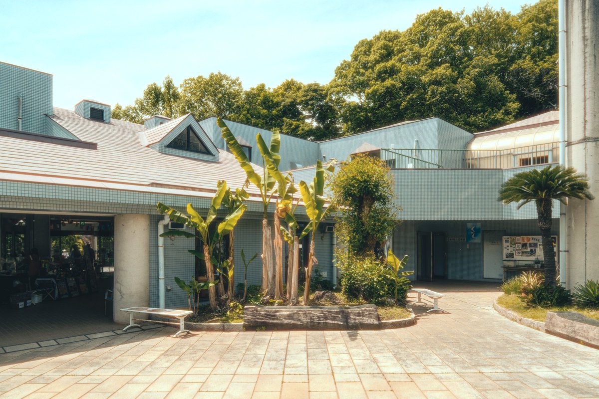 secilb (@secilb) on Twitter photo 