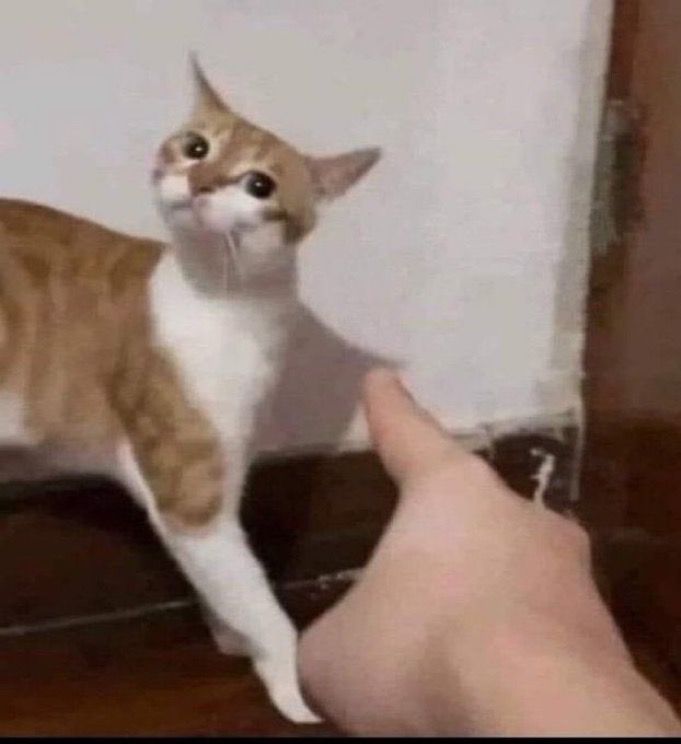 Emodrake | Video Editor tweet media