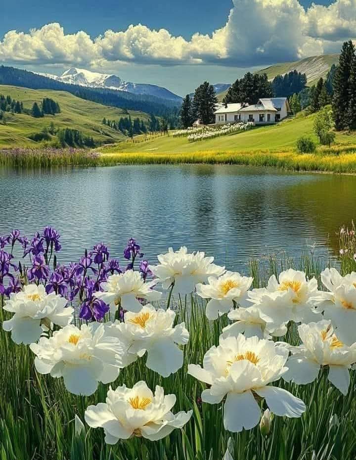 الحمد لله الذي أنعم علينا بعمر جديد ويوم جديد نعيشه.
اللهم اجعلنا من الشاكرين.
اللهم انا نسألك الأمن في أوطاننا،والسلامة في ديننا وأبداننا،والمغفرة لآبائنا وأمهاتنا ،
والبركة في أرزاقنا، والصحة في أجسادنا.
     "اللهم آمين يارب العالمين"
        #صباح_الخير