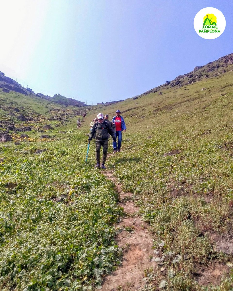 Muchísimas gracias a quienes nos acompañaron en la caminata del día de hoy. 💚

¡L@s esperamos la próxima semana! 😉

¡Un abrazo lomero para tod@s! 🤗
