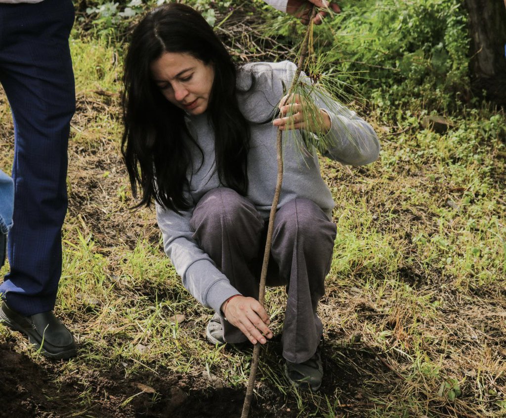 🌲🤝 Este esfuerzo del #GobiernoDeResultados, en alianza con <a href="/canacintrap/">Canacintra Puebla</a>, Asociación Mexicana de Arboricultura, Agenda Ciudadana por los Árboles y Áreas Verdes, así como con <a href="/GreenCarsonC/">Green Carson Company & Fundation</a>, contempló la plantación de 500 ejemplares de nueve especies.