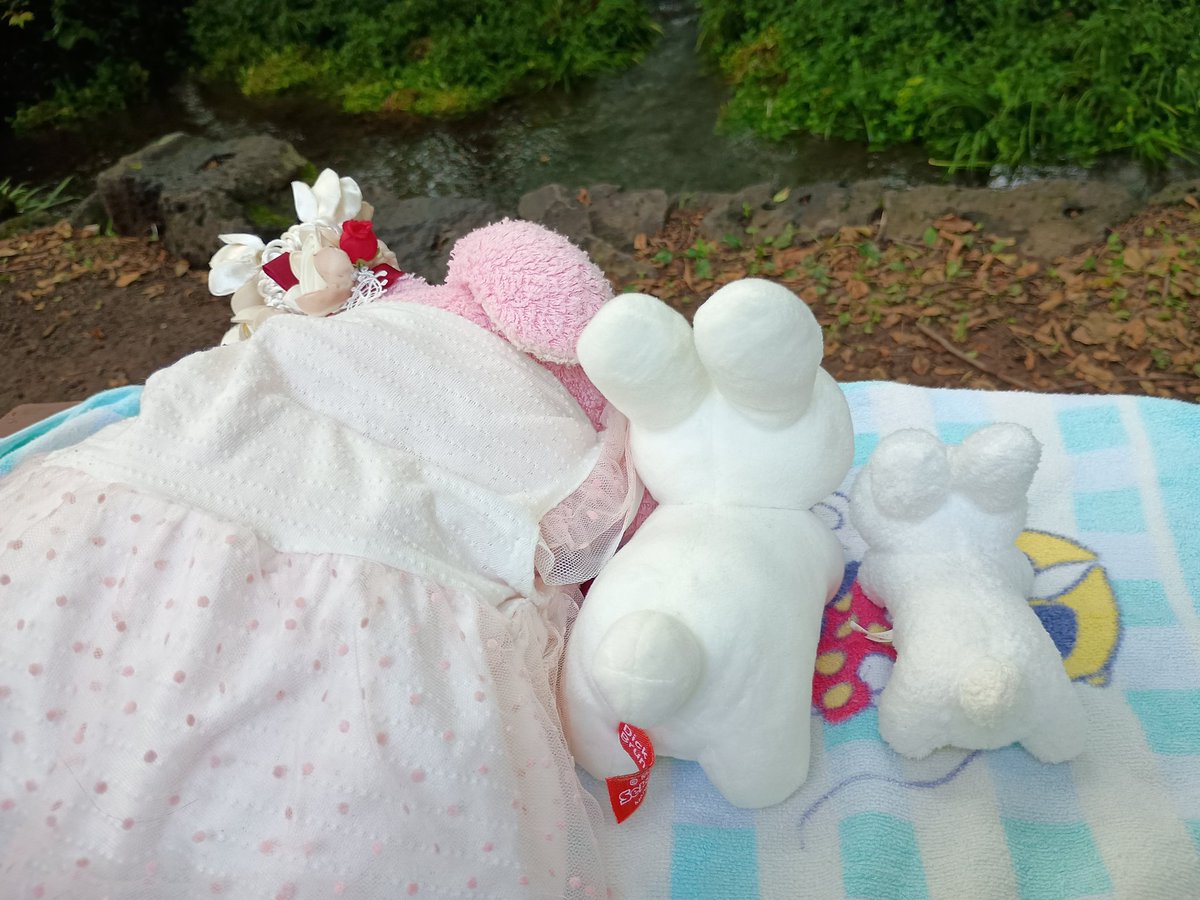 nui_momo's tweet photo. かわをながめてー https://t.co/im5Fx3mOvm