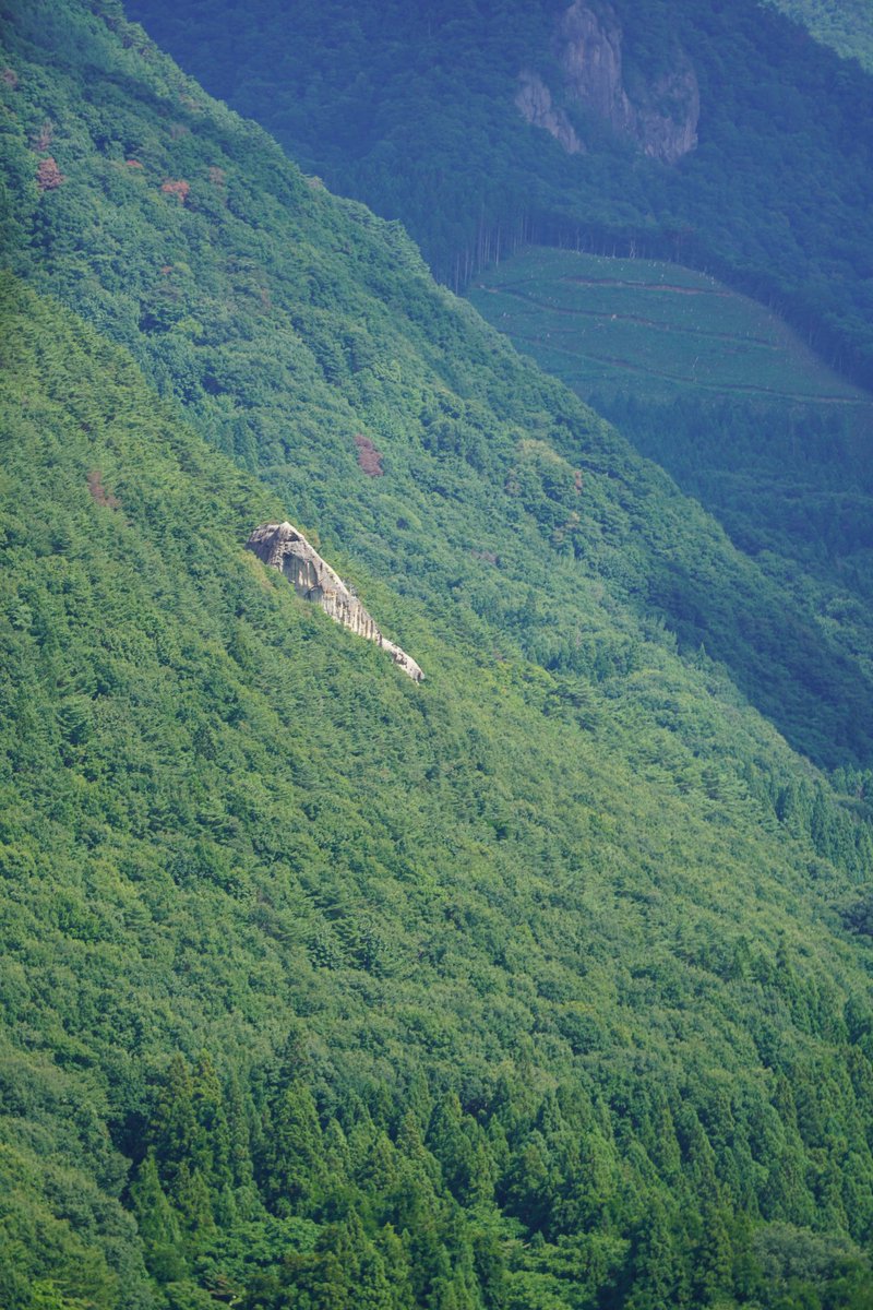 未知なる宮城｜KIMLOG｜ tweet media