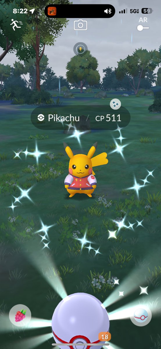 FINALLY pulled shiny Pikachu in the jacket 😎⚡
Drip secured.
#PokemonGO #ShinyPokemon #shinypikachu