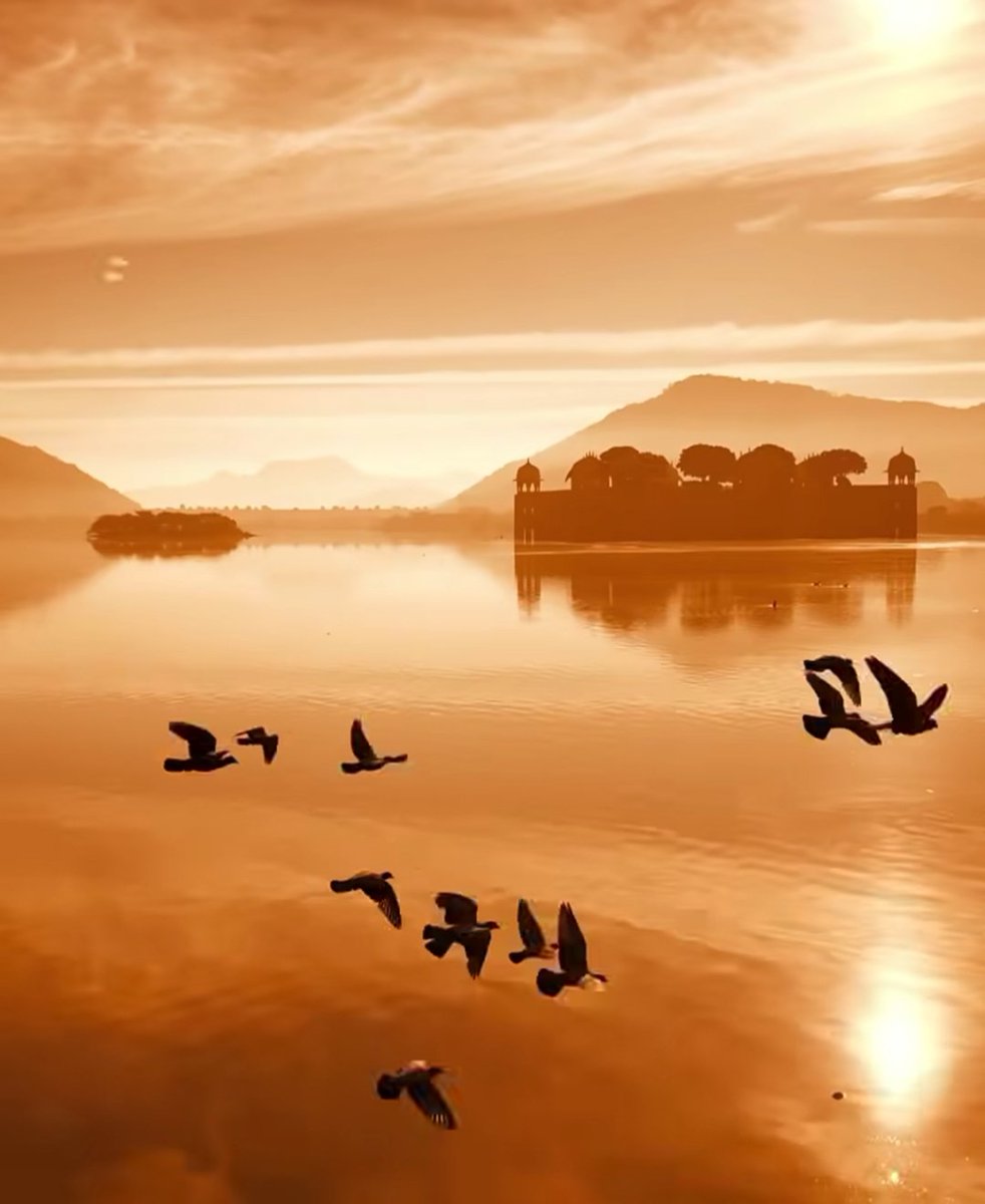 Il volo degli uccelli, il riflesso del sole e il silenzio dell’acqua: armonie che scrivono la musica del cielo. 

#LeNoteDelTempo 
#VentagliDiParole 

#buongiorno 

©️Sam Youkilis