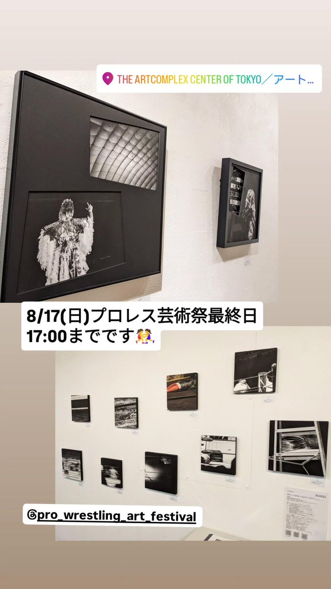 nanaha_photo's tweet photo. 8/17、プロレス芸術祭最終日です🤼‍♀️

館内どこかに終日おります🌻

17:00までのオープンですのでお気をつけください🤼‍♀️

(オンラインショップも17:00までです◎)

#プロレス芸術祭 https://t.co/URyhygVUgl