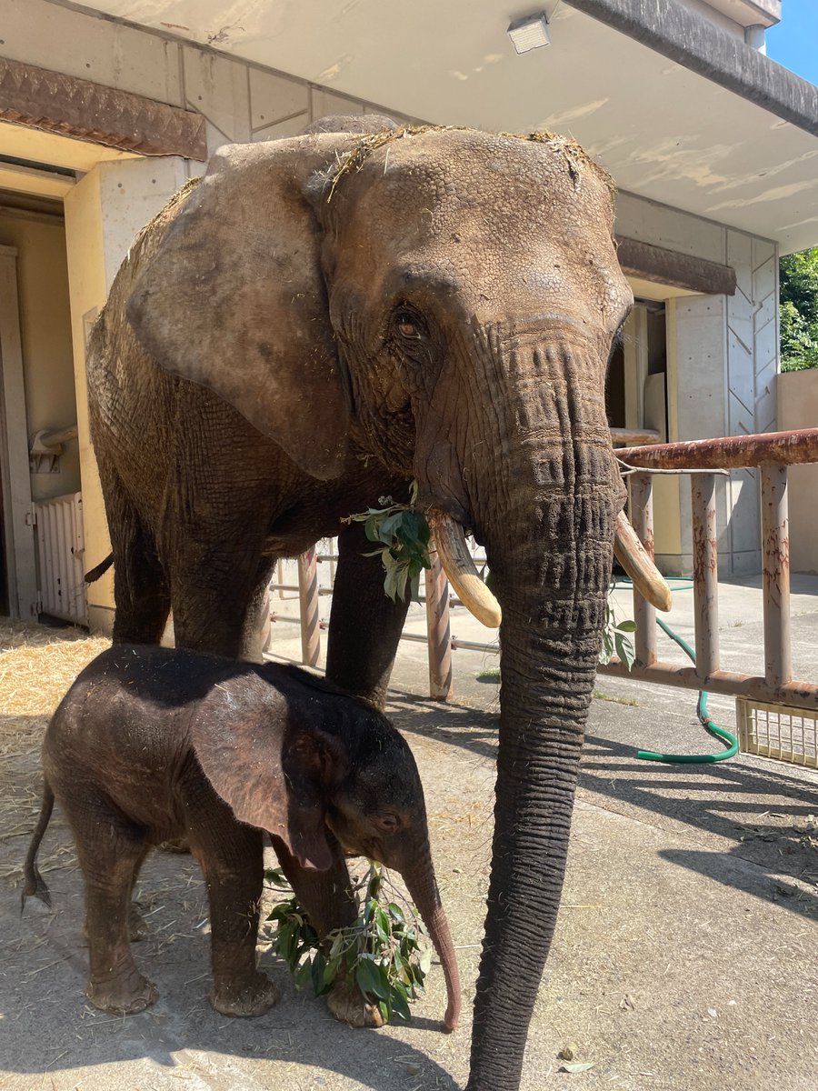 HANK＠Lee (@HANK_Jazz1568) / X