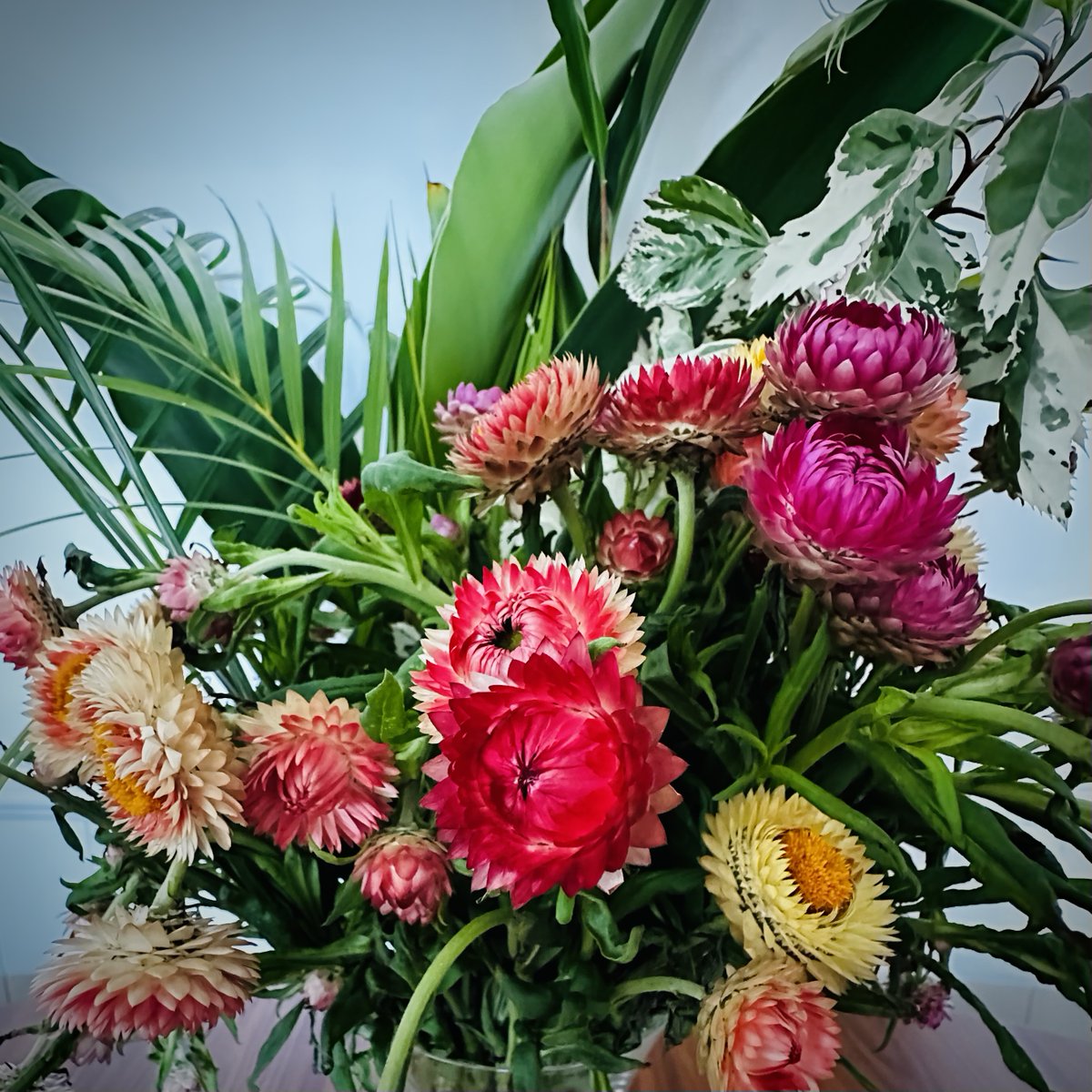 FilanteEtiole's tweet photo. @GahNotThisAgain Here are some flowers arranged by moi. Sometimes PTSD means you see the world differently, which can be isolating. https://t.co/d8nxsaGTFY