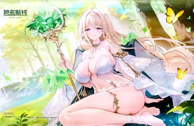 大陸版アズレンイベントグッズ ハウデン・リーウ タペストリー #アズールレーン #AzurLane
