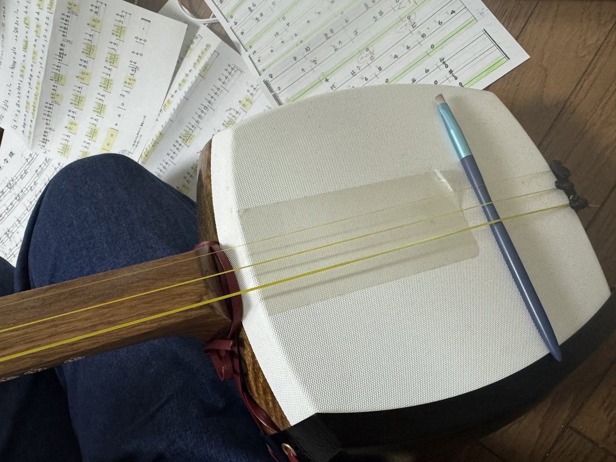 三味線の駒ぶっ壊れたから、何か刺しとかないと音出ないからメイクブラシ刺したら音出た w w

※良い子は真似しないでね‼︎🙄