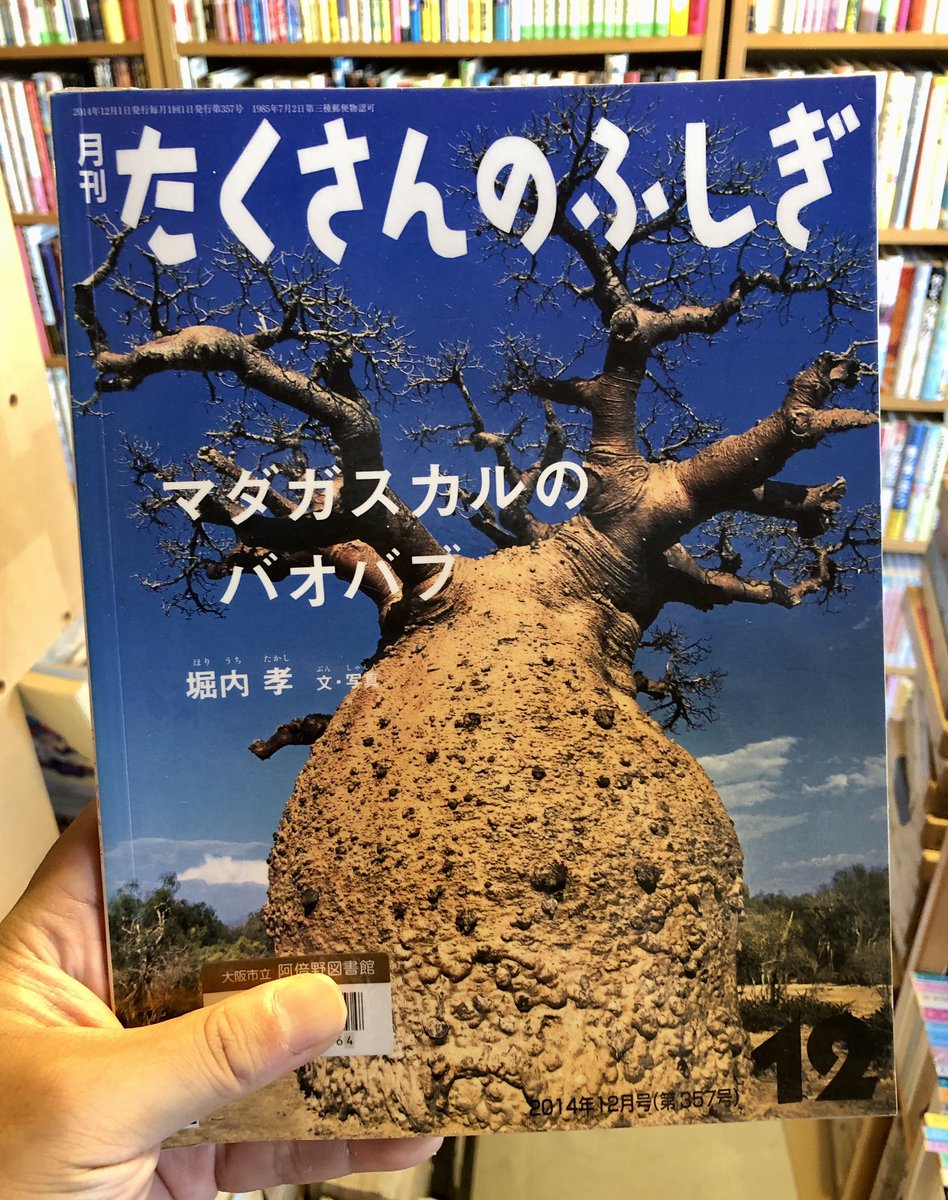 『マダガスカルのバオバブ』（堀内孝）＃読了
バオバブの木。話には聞いてましたが、こんなにも多種多様とは。しかも約10種類ある中で、マダガスカル島にのみ８種類があるという驚き。場に応じた形。それぞれの人との関わり。面白い。　＃たくさんのふしぎを読む
