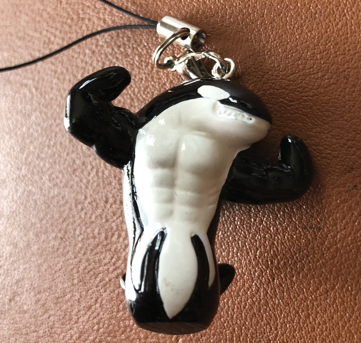 最近のお気に入りシリーズ🐬
しあがってるシャチさん
すてキング👑